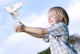 New Picture 5