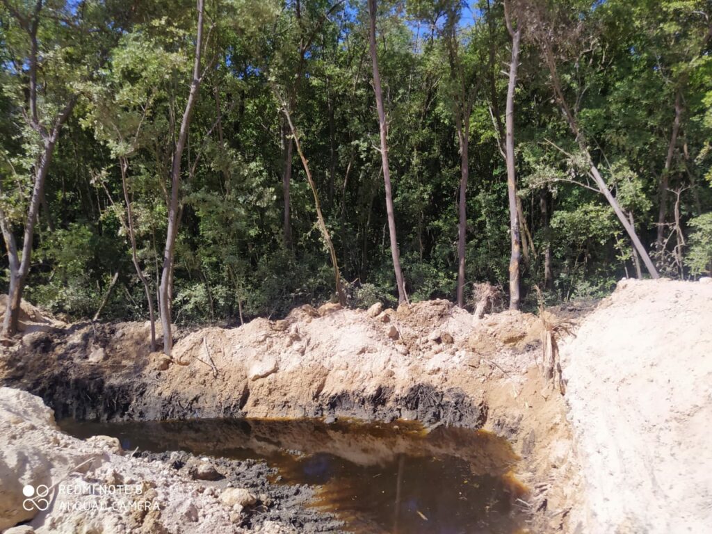 areas de manglares intervenida por los miembros del ejercito que construyen el muro fronterizo en Manznaillo 1