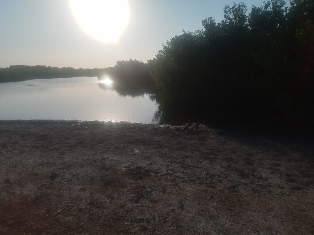 Esta zona del humedal es parte del deslinde en Manzanillo