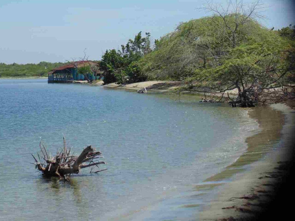 Estero Balsa 2