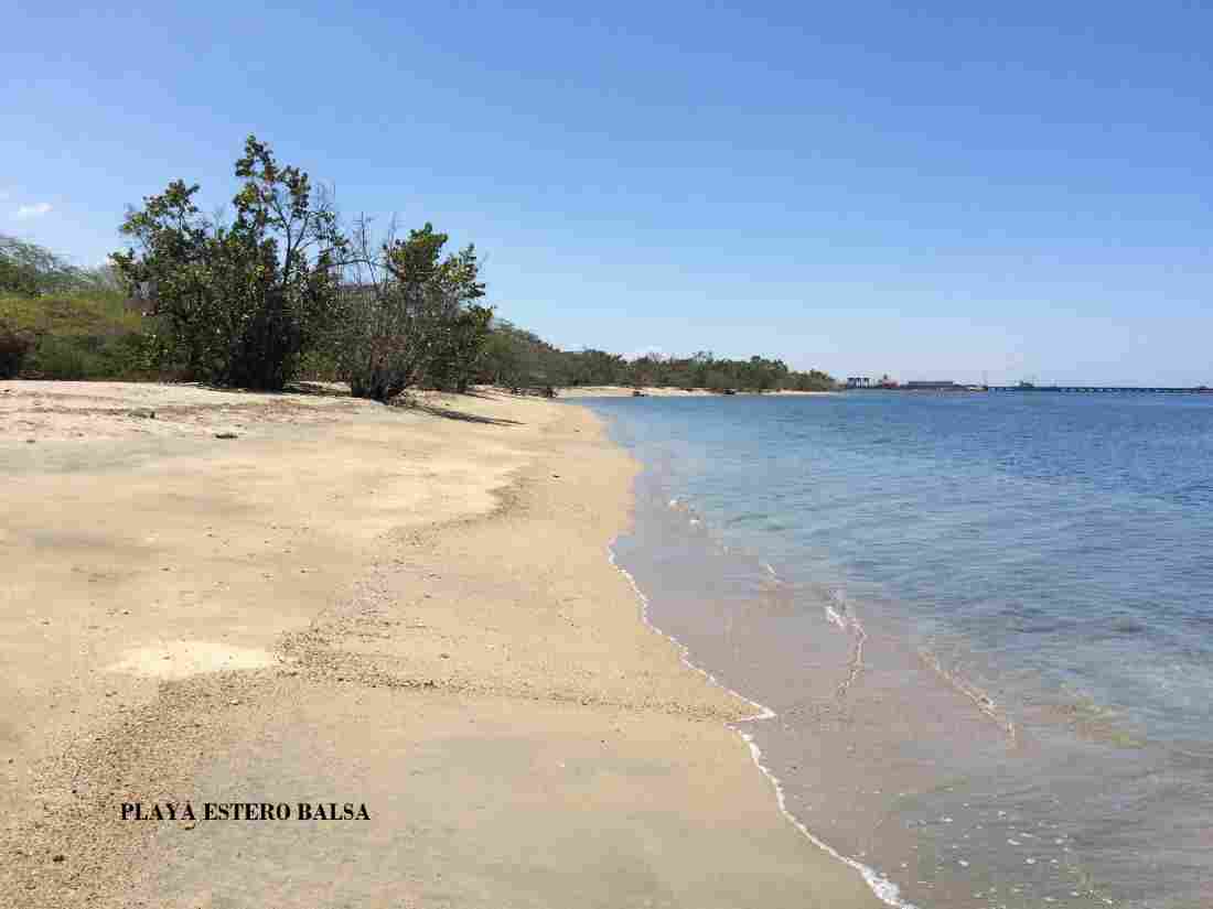 «Asesinato ambiental» de Playa Estero Balsa: CEBAMDER demanda acciones urgentes del ministro de la Presidencia