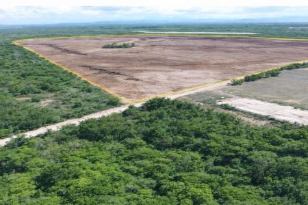 Desmonte realizado em a 200 metros de Parque de Manglares
